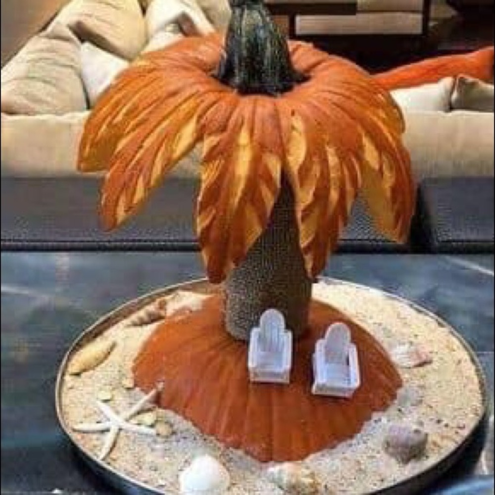 Meet your Posher, Addie